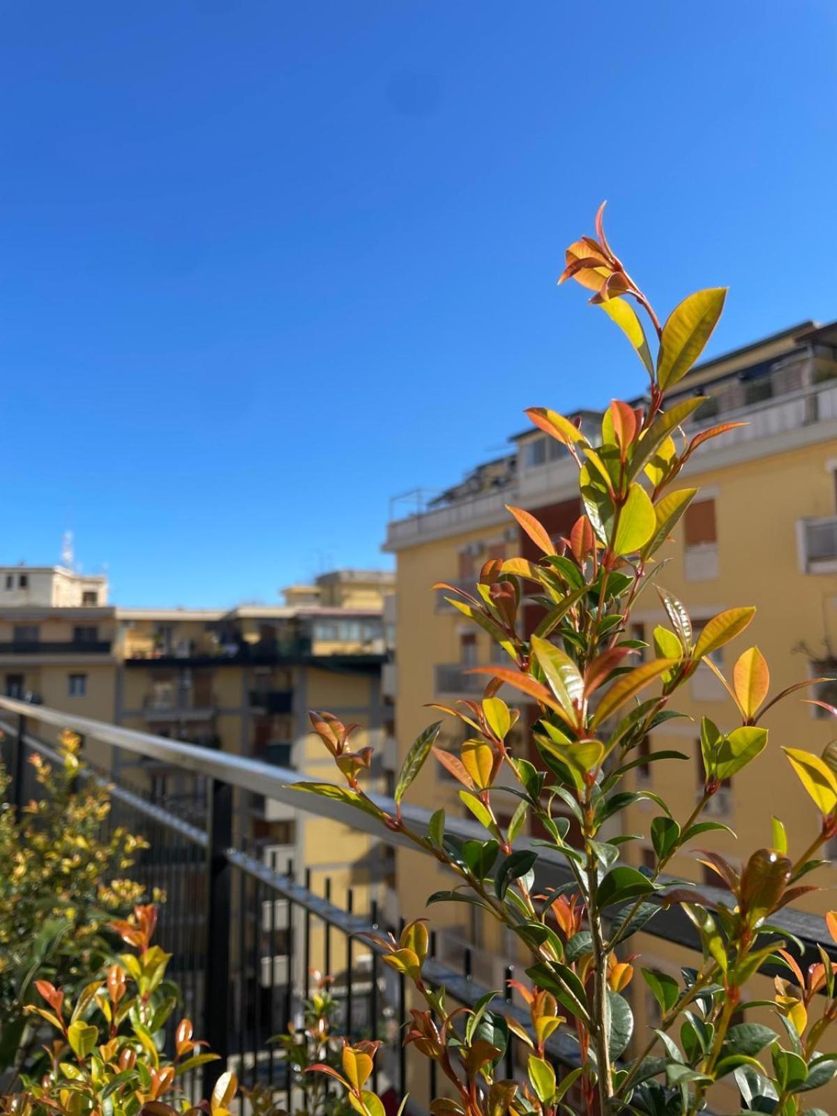 Terrazza L'emiro * Palermo